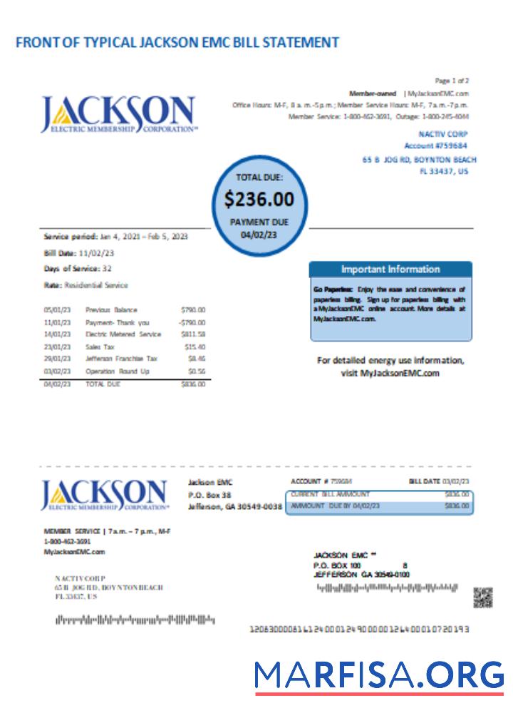 Realistic Georgia JACKSON EMC utility business bill, page 1 SCR example